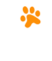 The TNS Group – Managed IT Services